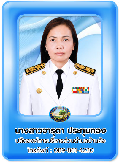 ปลัด